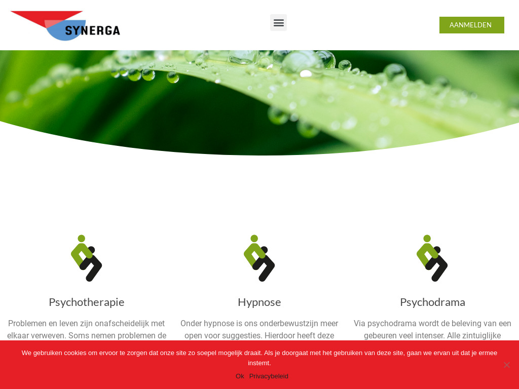 synerga_web